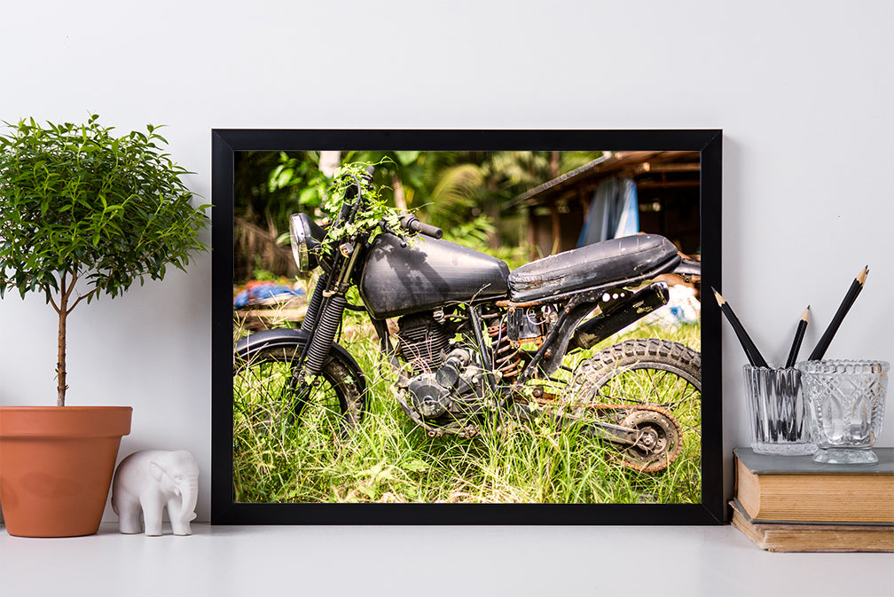 Jungle Bike | Kaikoa