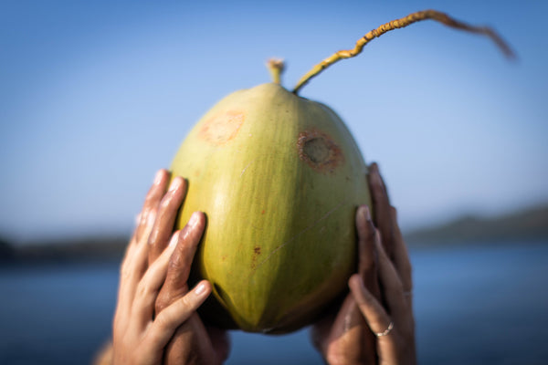 Coconut life