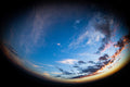 Outer Space