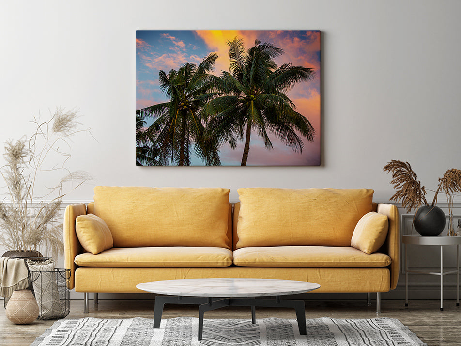 Palm Trees | Kaikoa