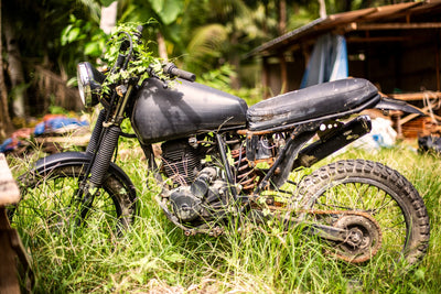 Jungle Bike | Kaikoa