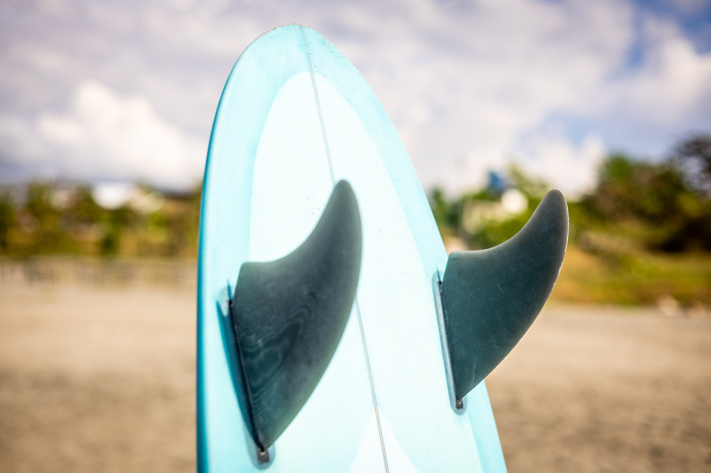 Soft Rounded Tail Round Tail – kaikoa.com